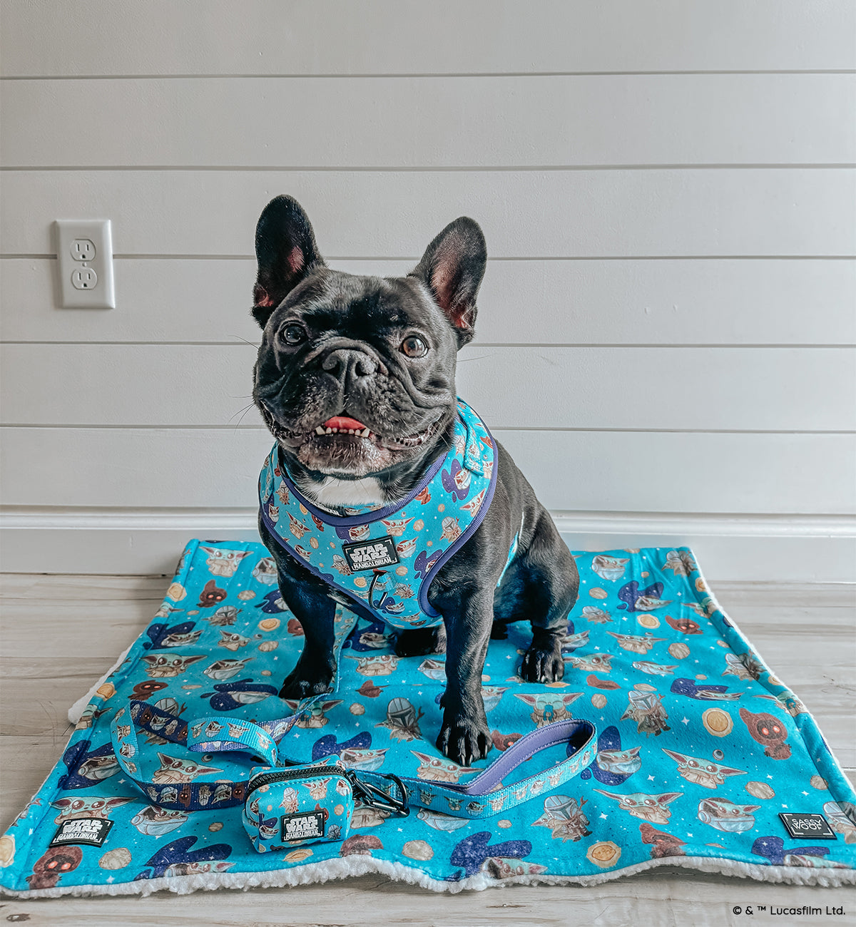Pet Blanket - STAR WARS™ The Mandalorian™