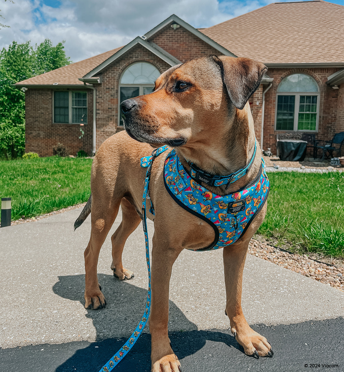 Dog Two Piece Bundle - Nickelodeon CatDog™