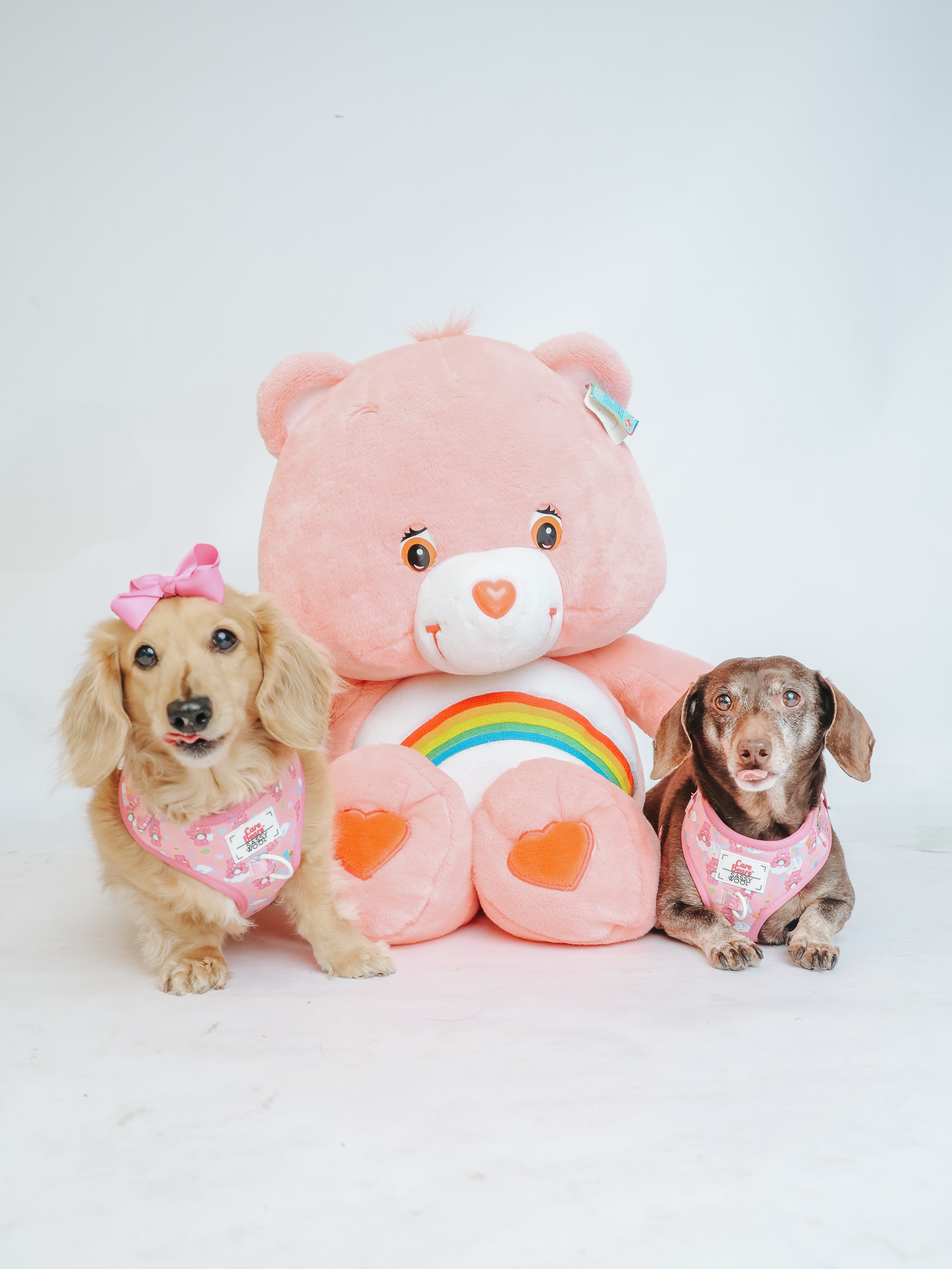 Dog Two Piece Bundle - Care Bears™ Cheer Bear