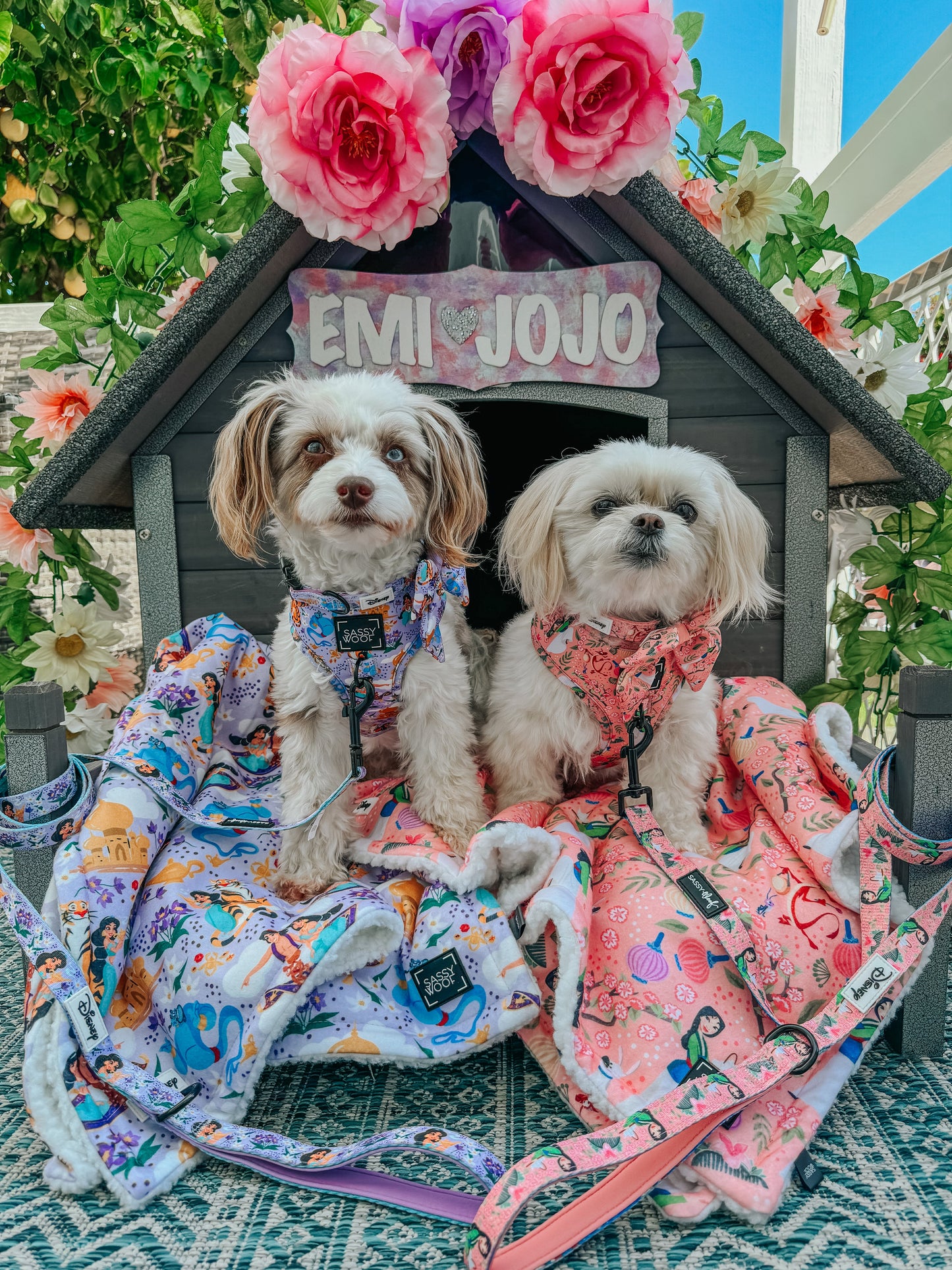 Dog Sailor Bow - Disney's Jasmine