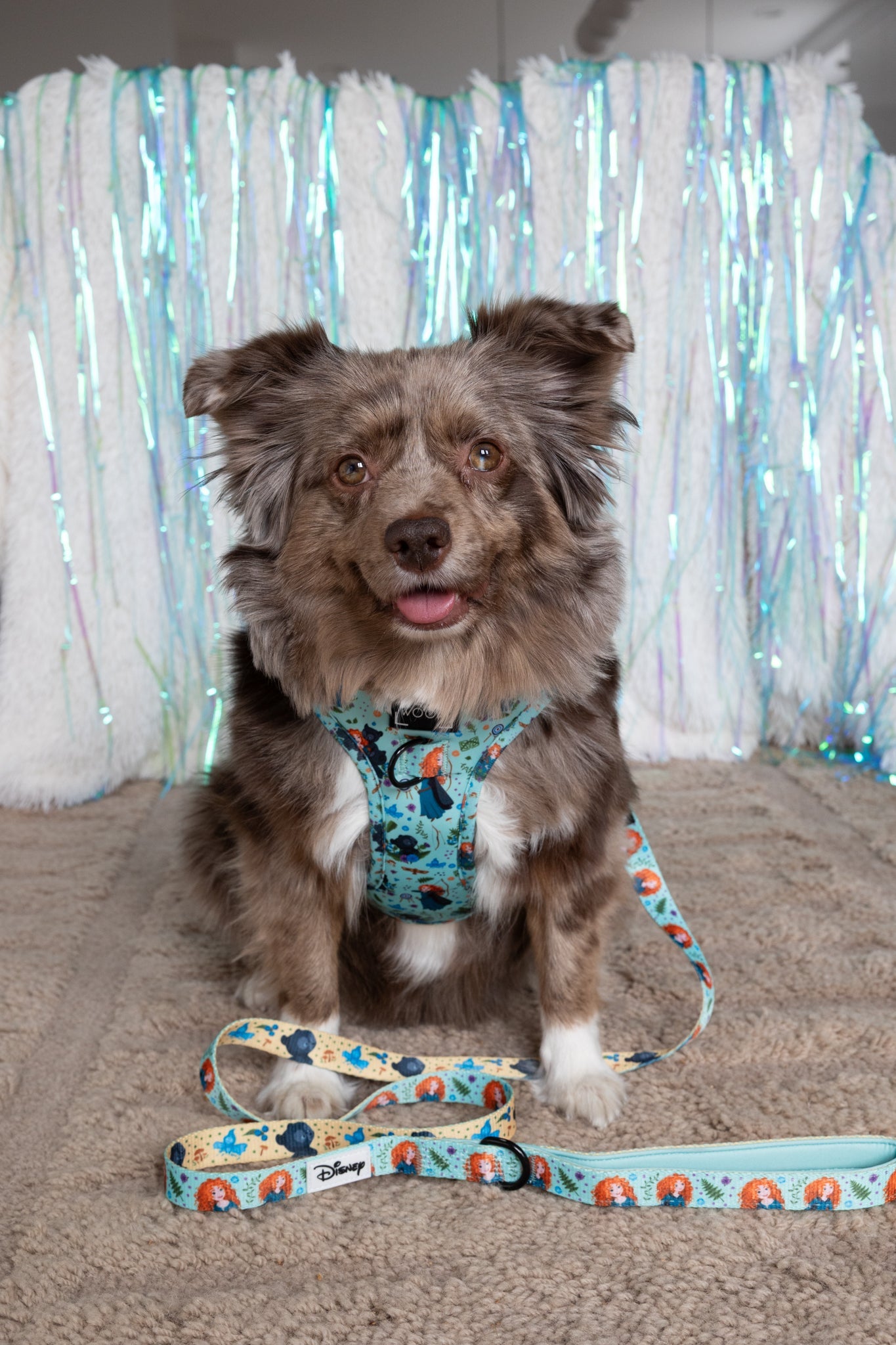 Dog Two Piece Bundle - Disney's Merida