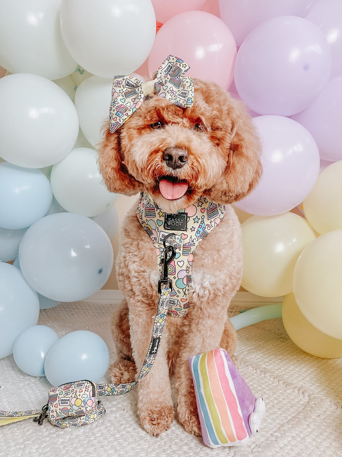 Dog Toy - Barkday Cake