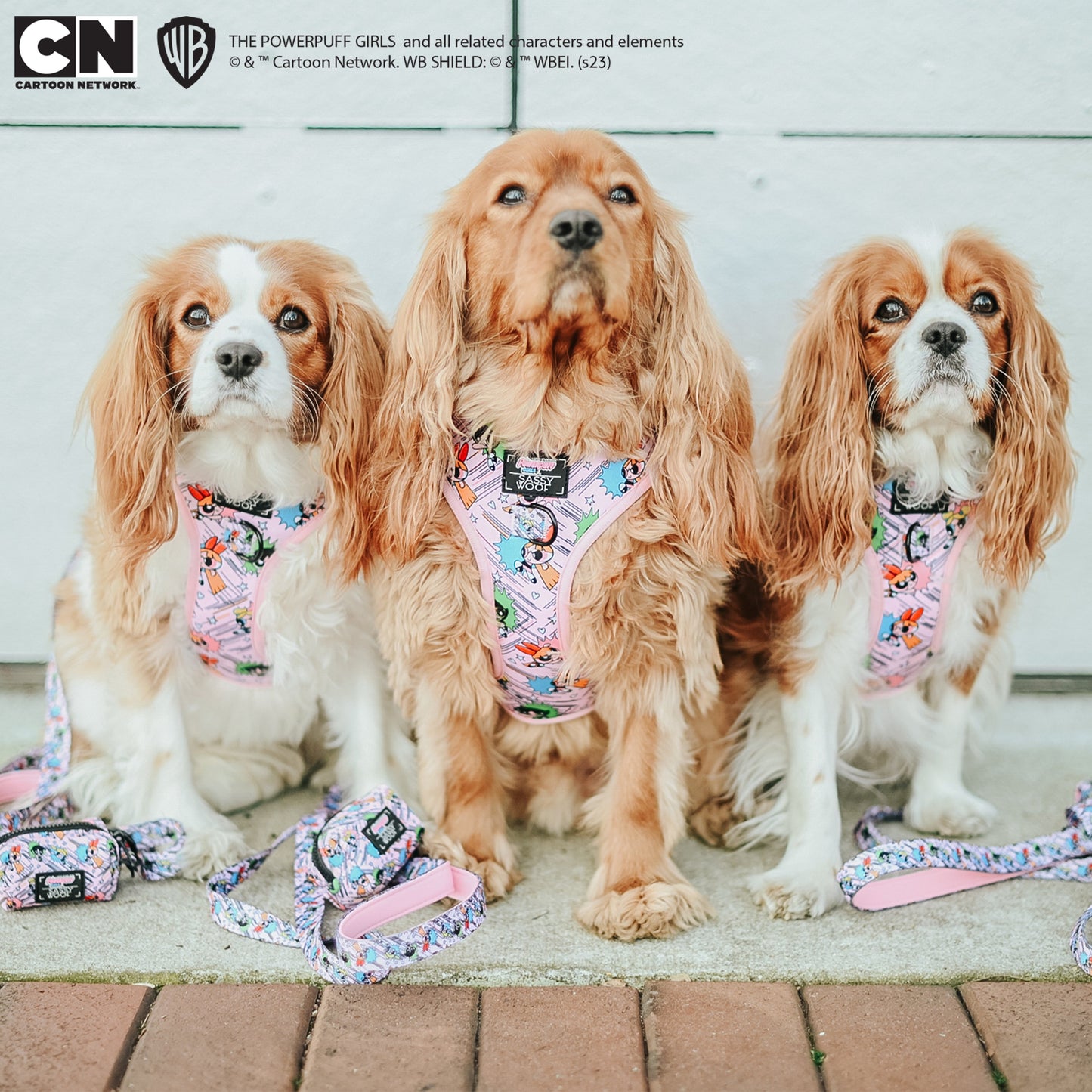 Dog Two Piece Bundle - The Powerpuff Girls™ (Pink)