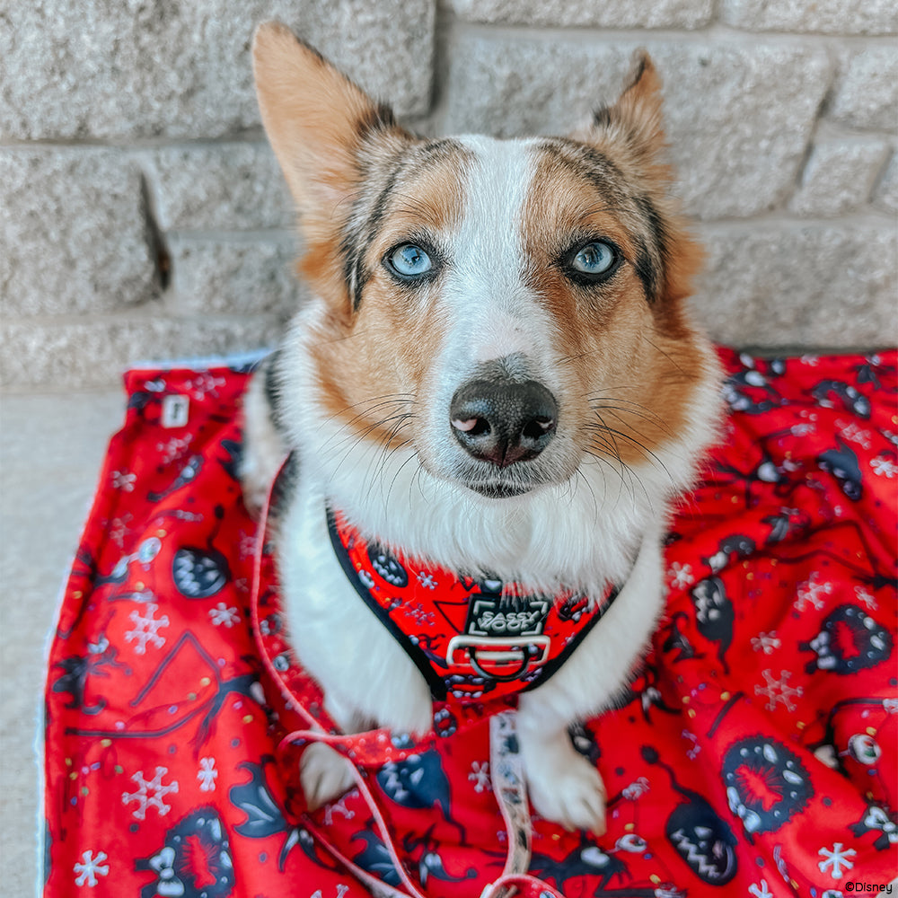 Pet Blanket - The Nightmare Before Christmas™ (Red)