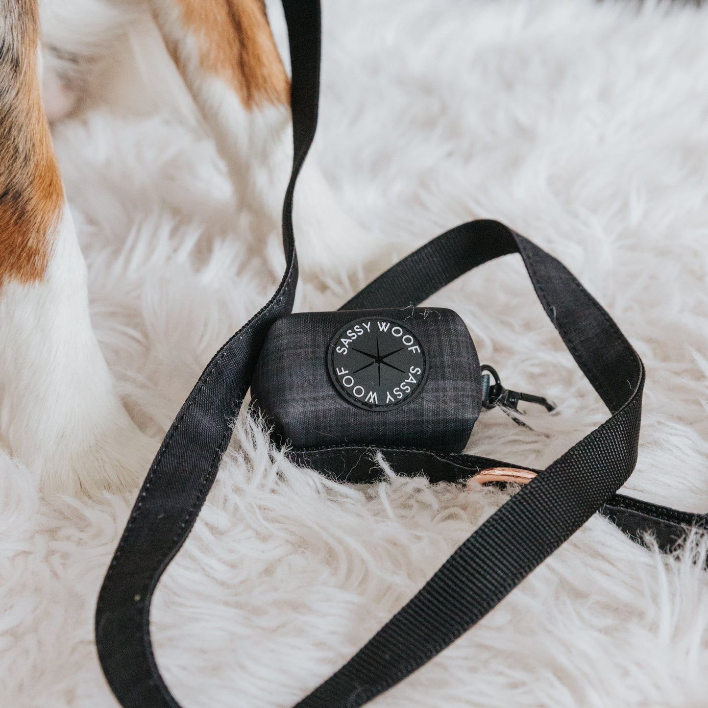 Dog Collar Three Piece Bundle - Baby Got Black