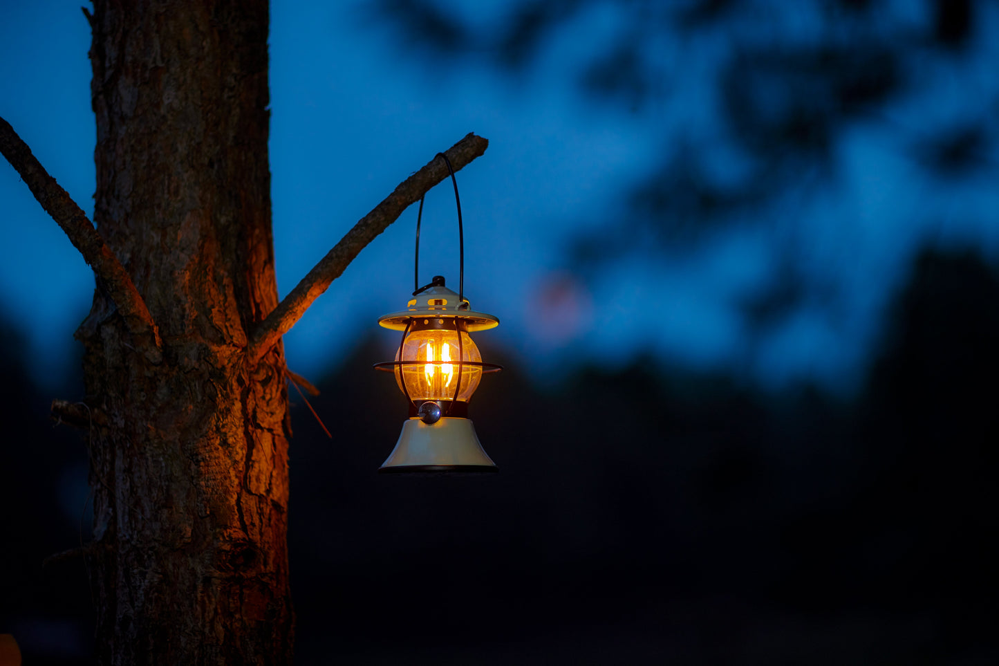 BLACKDEER Moon Camping Light