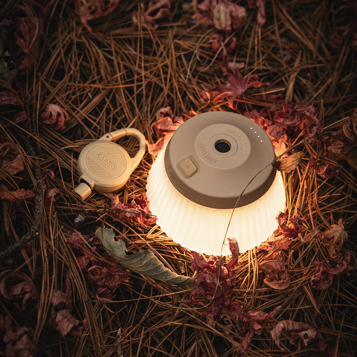 CARGO Reel Light (Mini/Pro)