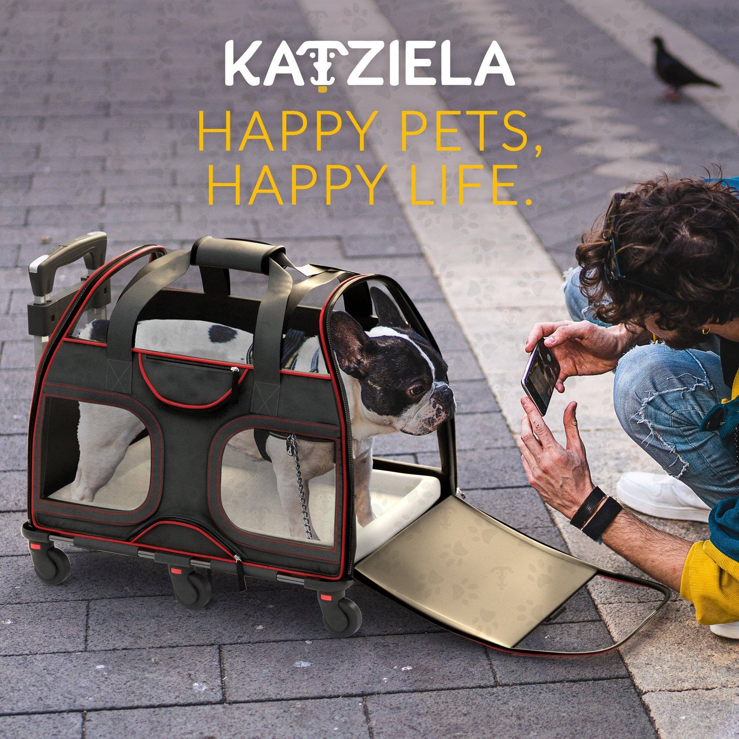 Luxury Rider Pet Carrier with Removable Wheels