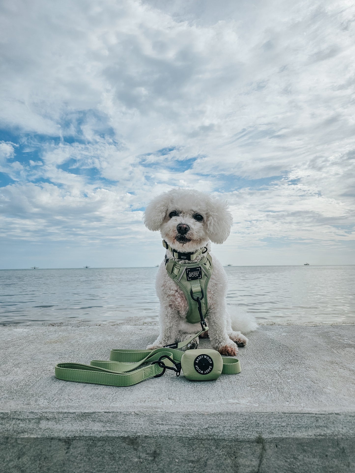 Dog Two Piece Bundle - Matcha