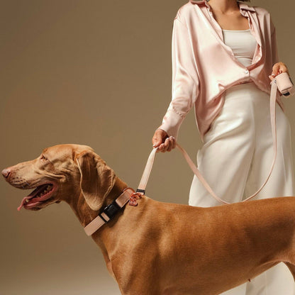 Doodle Couture, New York - Secure-In-Place Dog Leash - Blush