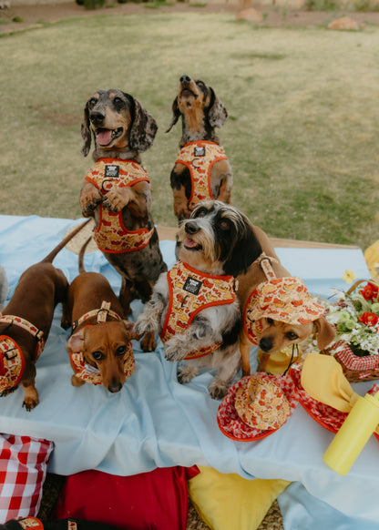 Dog Collar - Hot Dawg