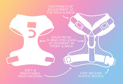 Dog Four Piece Bundle - Teddy