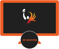 30 MINUTES: 1 session >>$60.00
