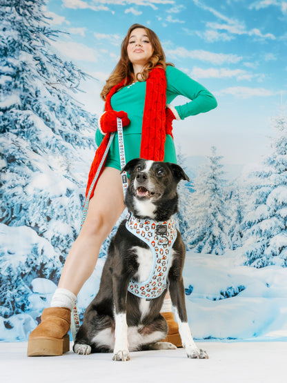 Dog Collar - Winter Waddleland