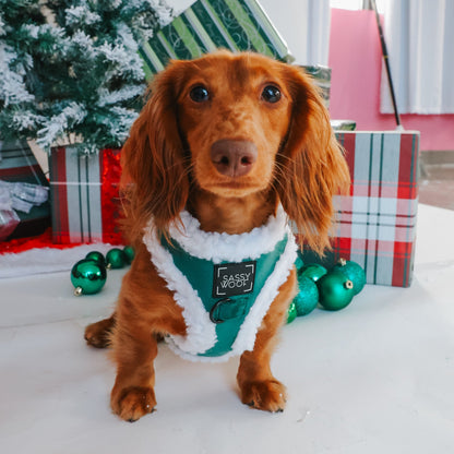 Dog Two Piece Bundle - Nice