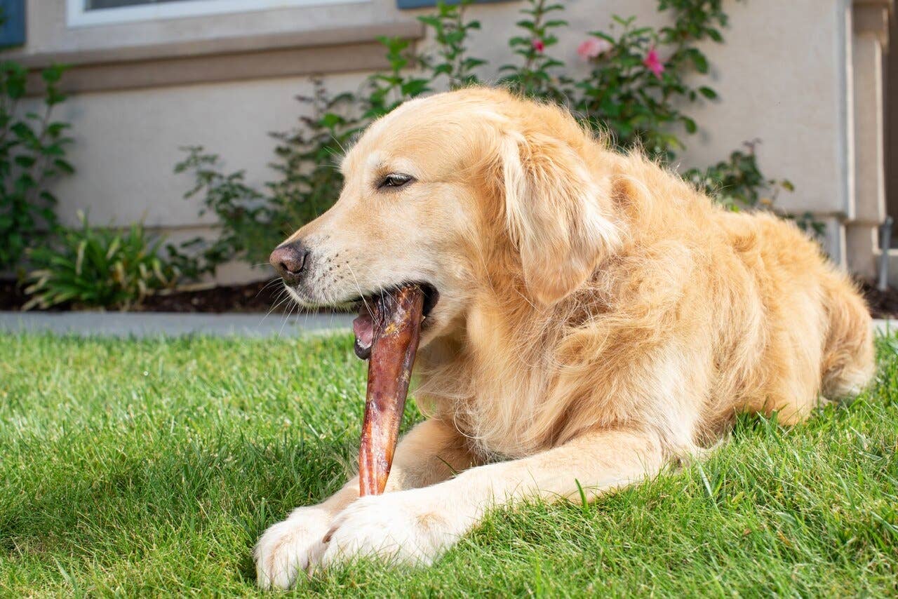 Bully Stick Super Monster USA 12"