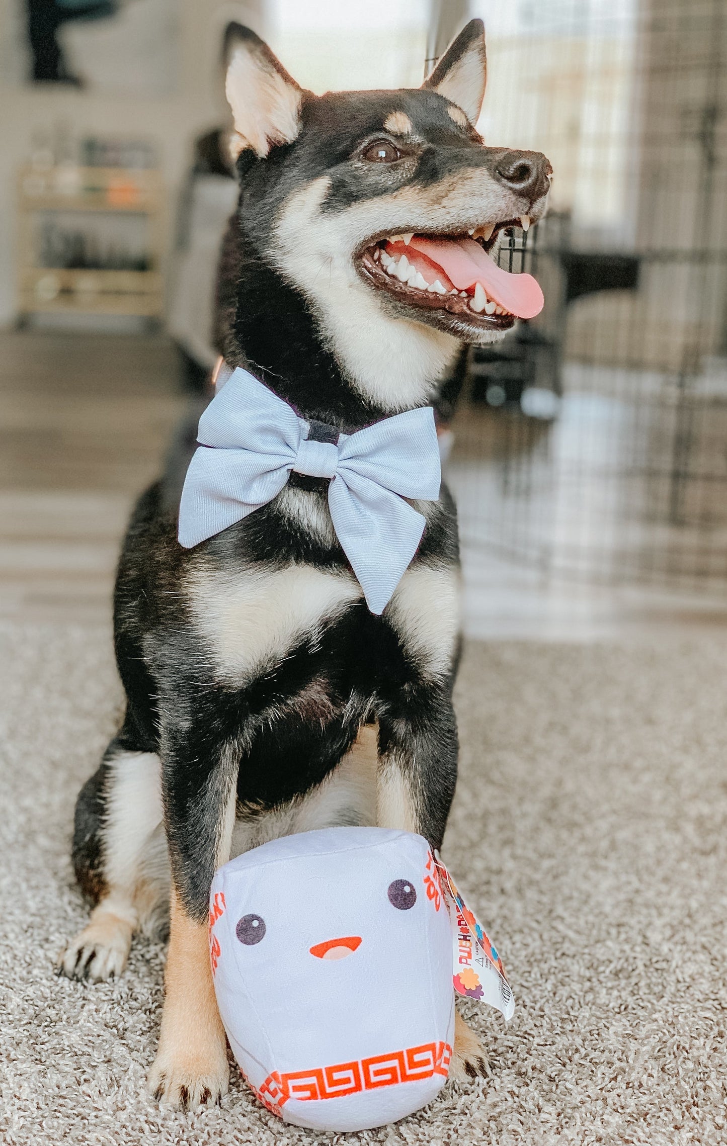 Dog Sailor Bow - 50 Shades of Sass