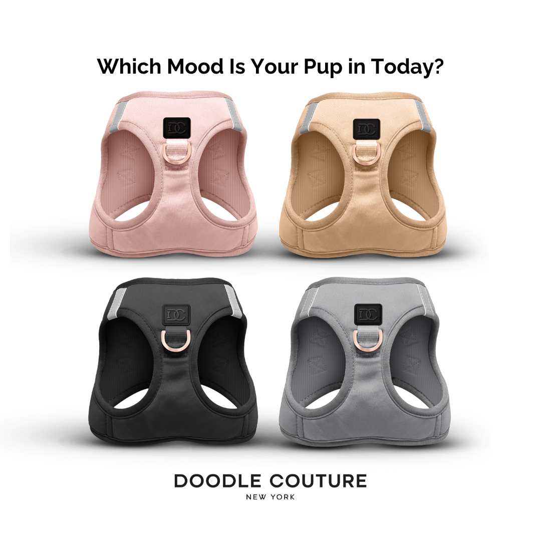 Doodle Couture, New York - WINNER - Harness Innovation of the Year Award - Blush