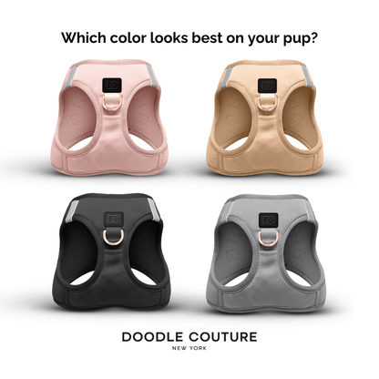 Doodle Couture, New York - WINNER - Harness Innovation of the Year Award - Dune