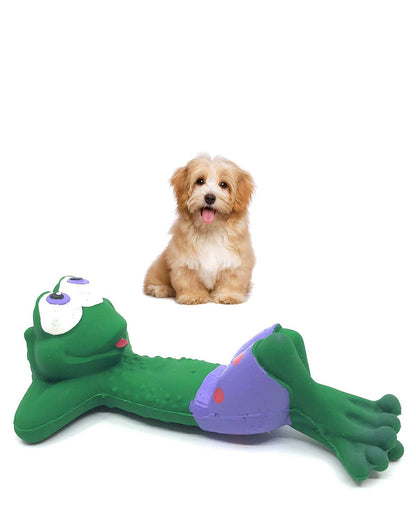 Beach Frog Squeaky Rubber Dog Toy (Small)