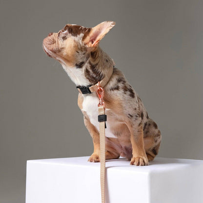 Dogistry™ - City Dog Leash - Dune