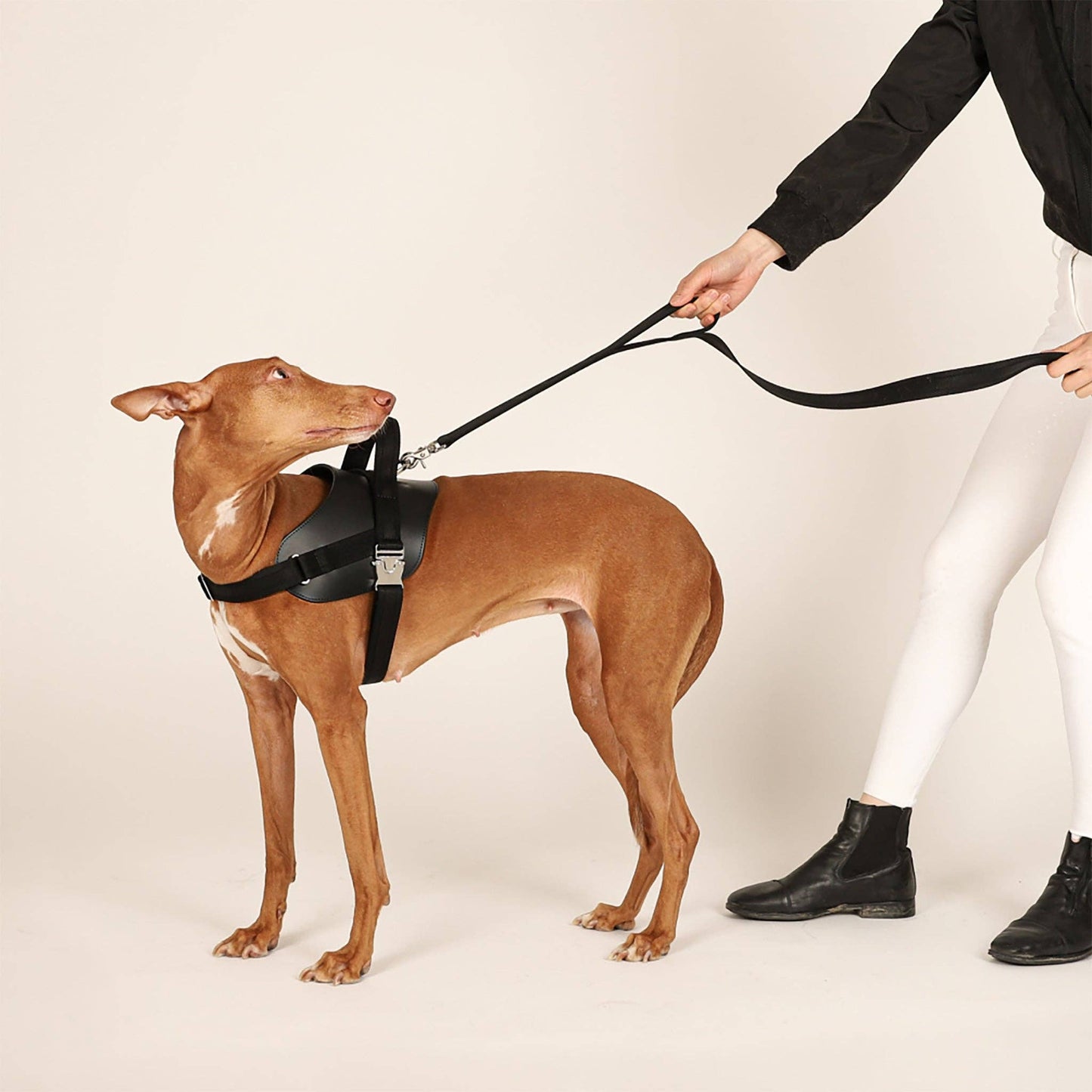 Hozi - Saddle Hands-free Leash : Pink