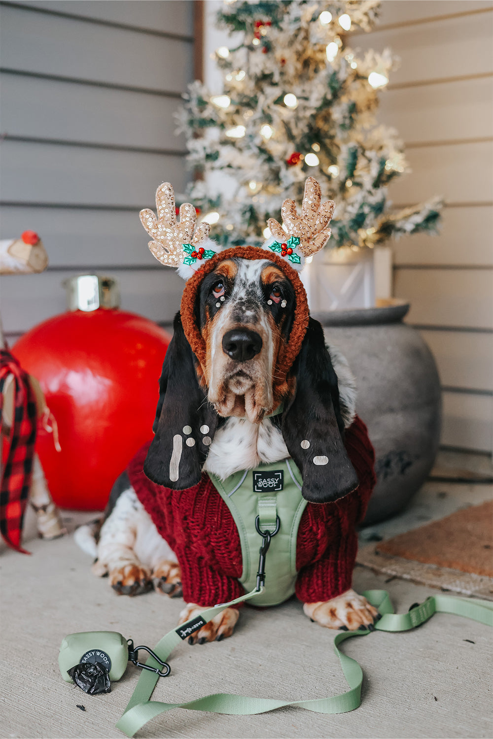 Dog Two Piece Bundle - Matcha
