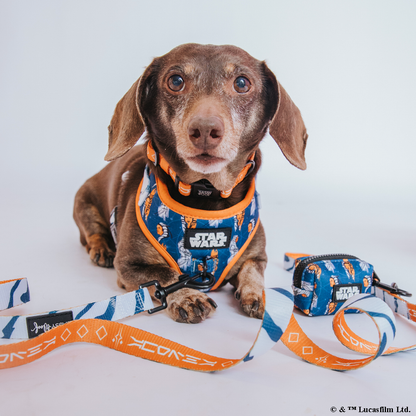 Dog Adjustable Harness - STAR WARS™ Ahsoka