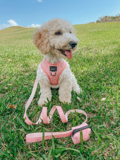 Dog Reversible Harness - Dolce Rose