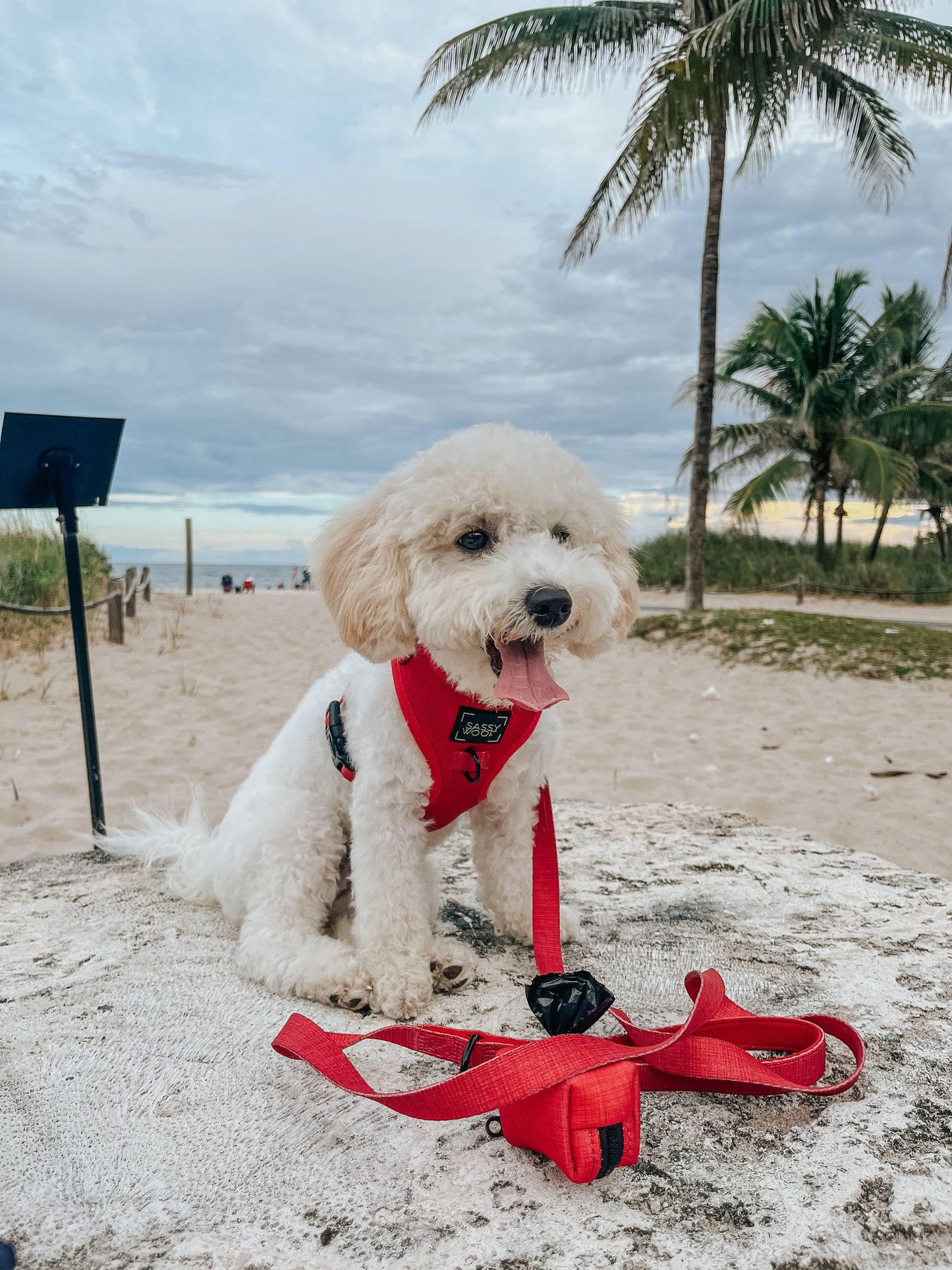 Dog Leash - Merlot