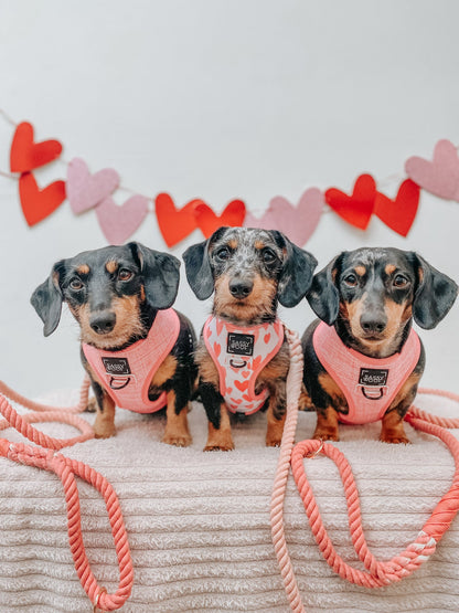 Dog Reversible Harness - Dolce Rose