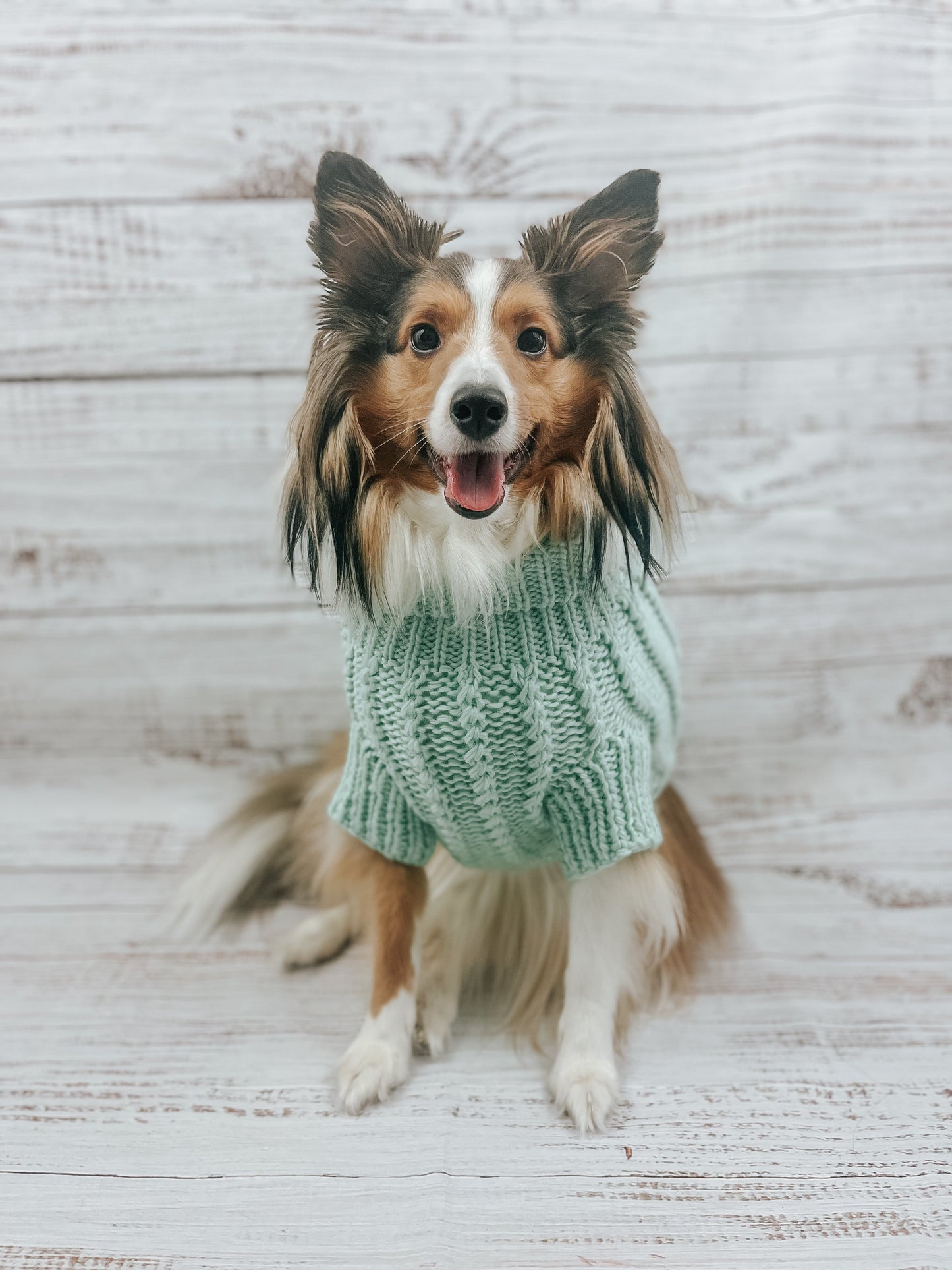 Pet Cable Knit Sweater - Mint