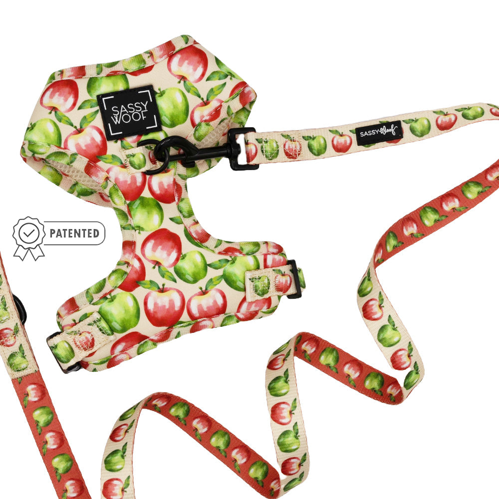 Dog Two Piece Bundle -  Apple of My Eye