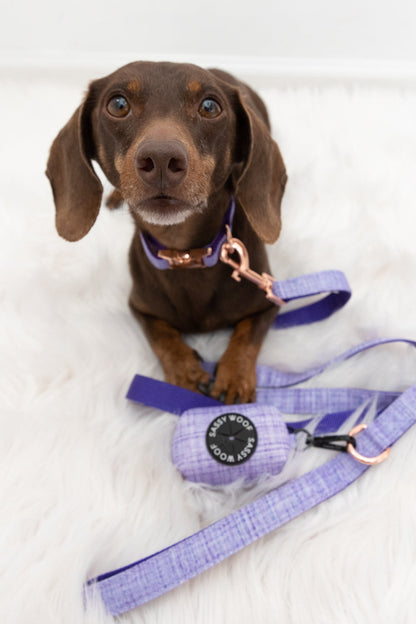 Dog Collar Three Piece Bundle - Aurora