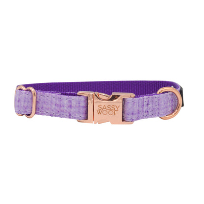 Dog Collar Three Piece Bundle - Aurora