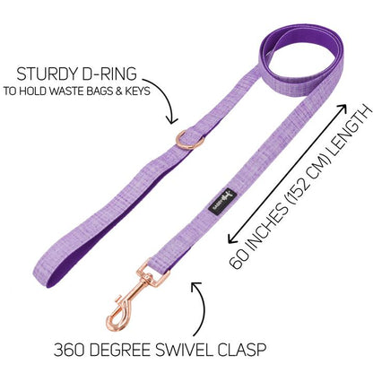 Dog Collar Three Piece Bundle - Aurora