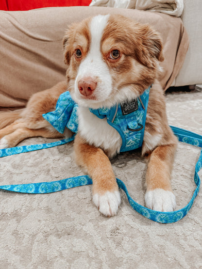 Dog Four Piece Bundle - Tropical Tides