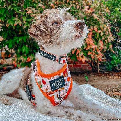 Dog Collar - Peanuts™ Harvest