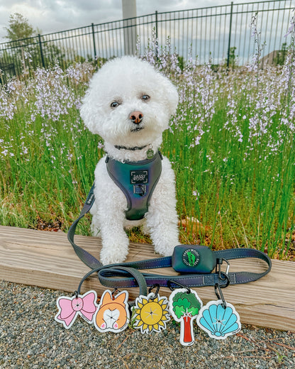 Potty Pal - Sun