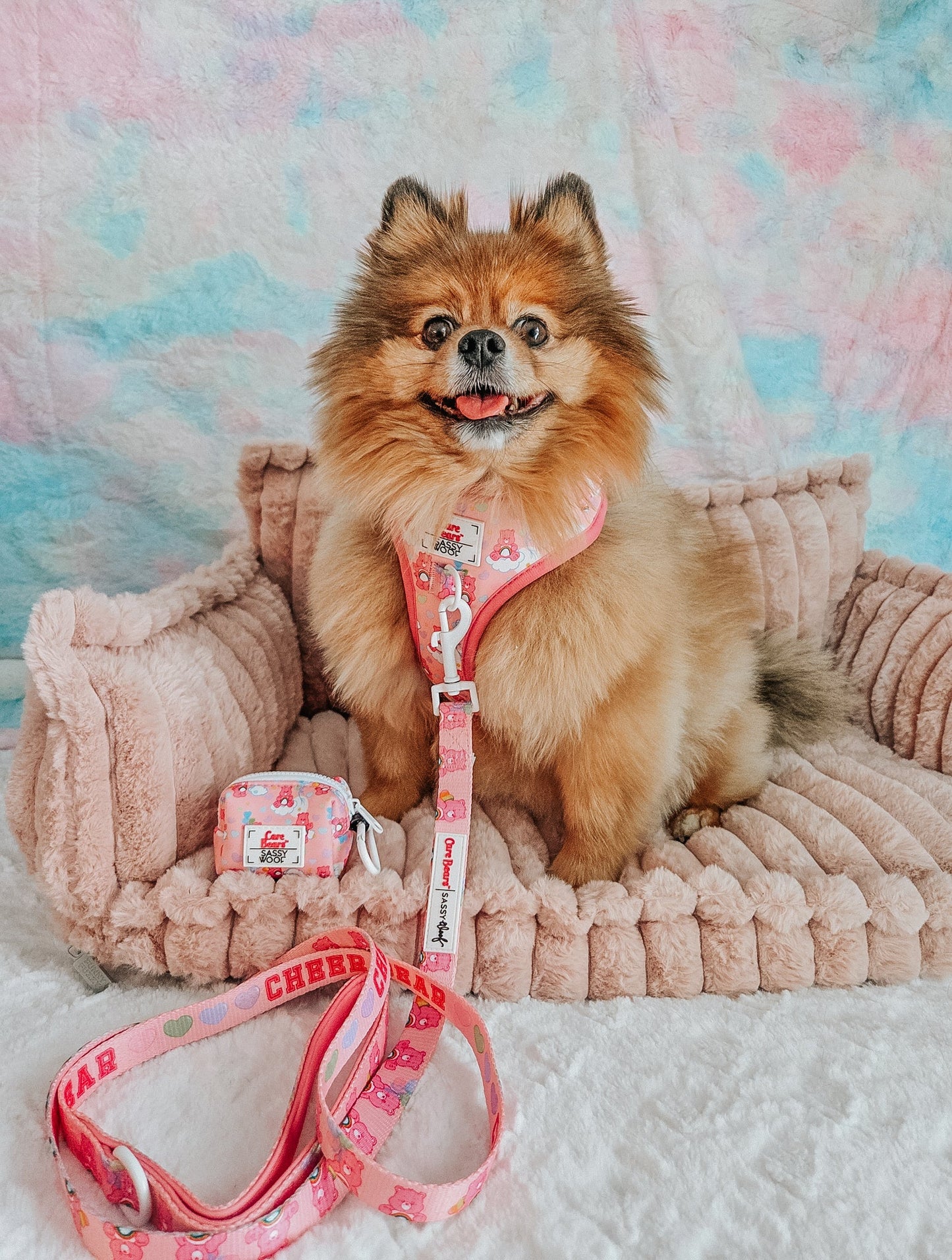Dog Waste Bag Holder - Care Bears™ Cheer Bear