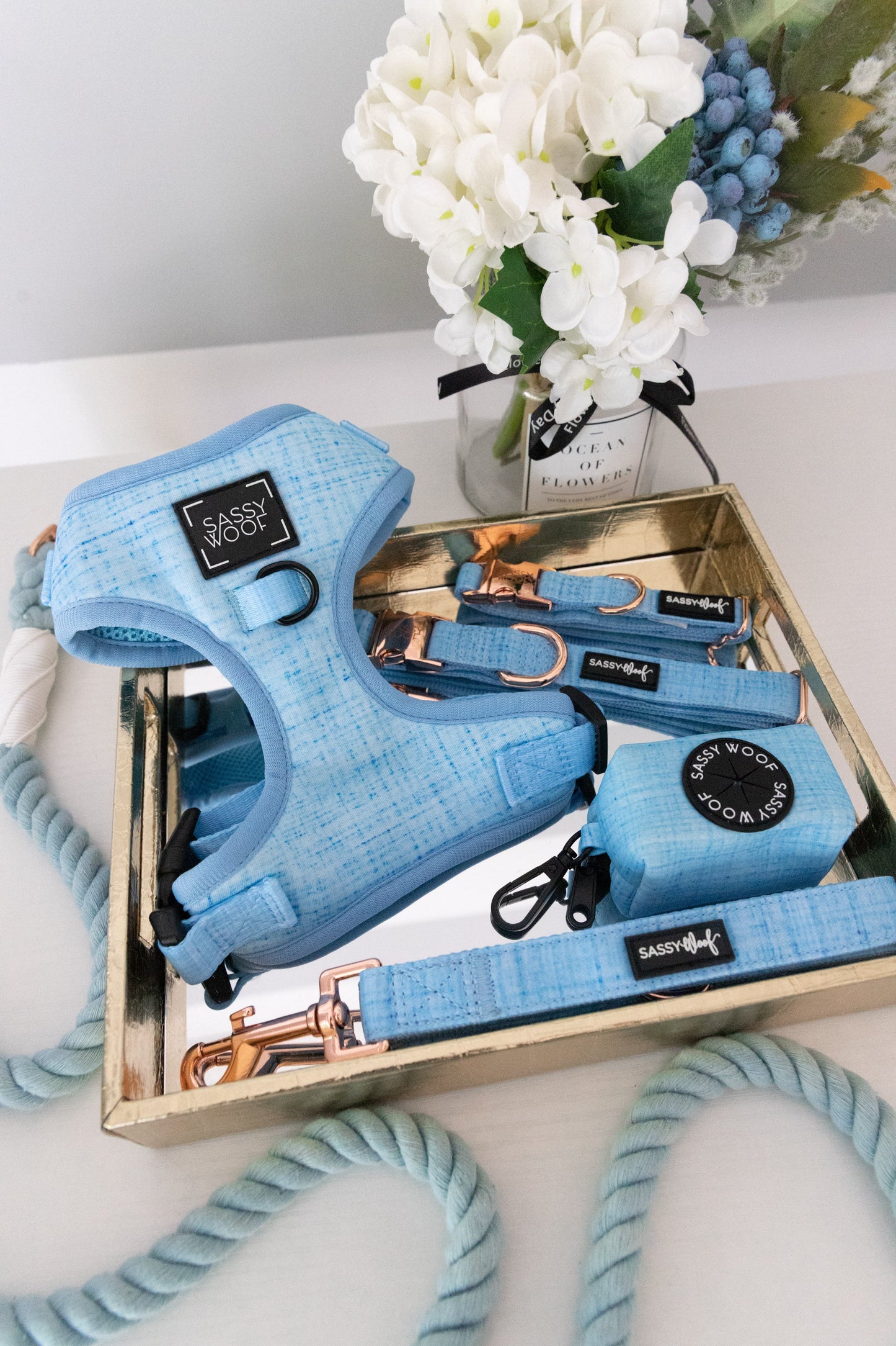 Dog Two Piece Bundle - Blumond