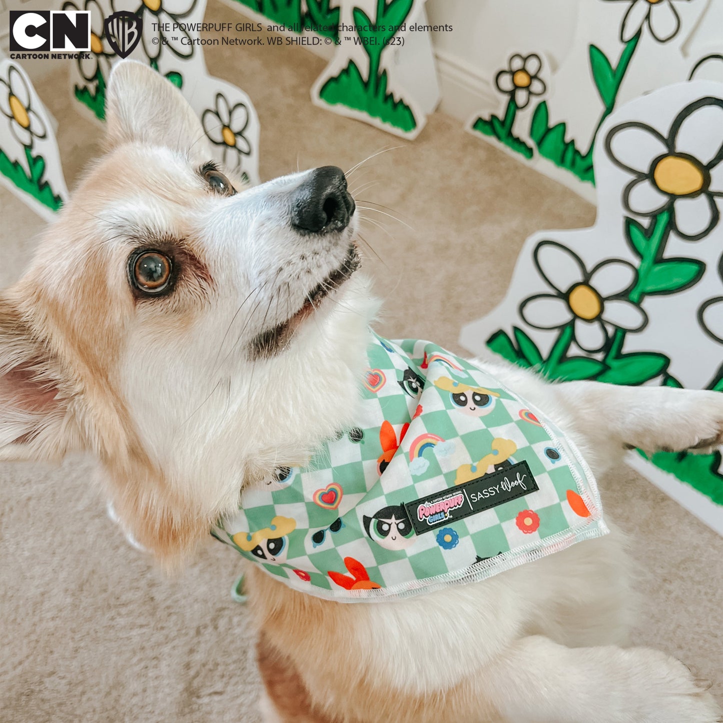 Dog Bandana - The Powerpuff Girls™ (Green)