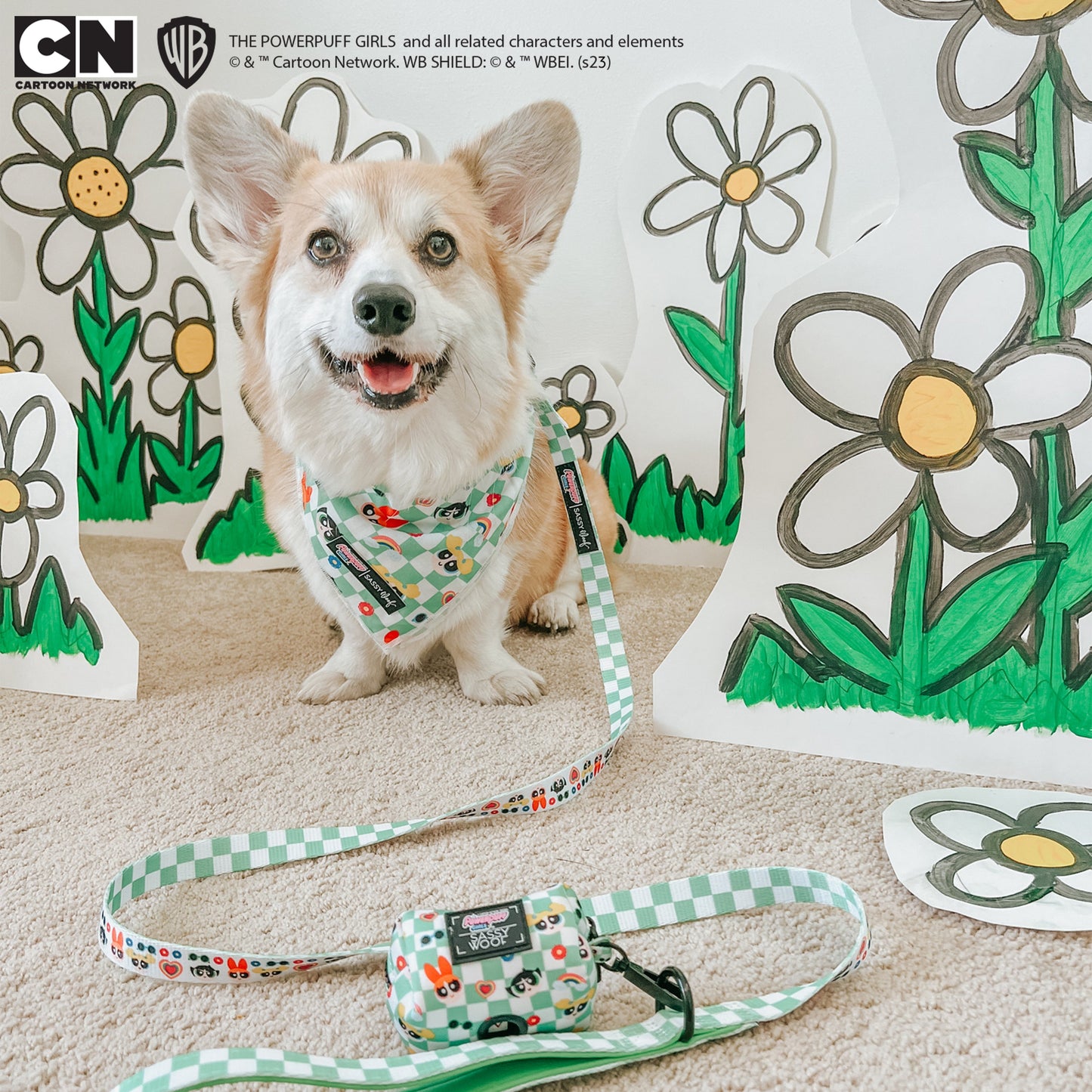 Dog Waste Bag Holder - The Powerpuff Girls™ (Green)