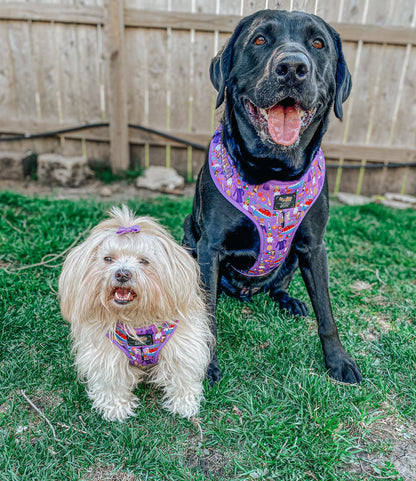 Dog Adjustable Harness - Willy Wonka & The Chocolate Factory™