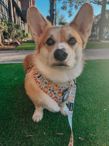 Dog Adjustable Harness - Good Duck, Babe!