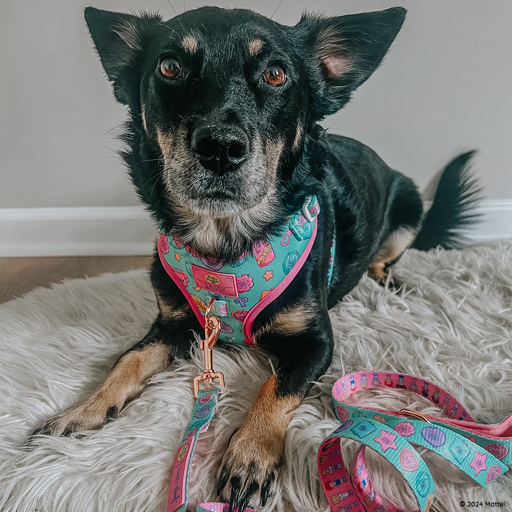 Dog Two Piece Bundle - Polly Pocket™