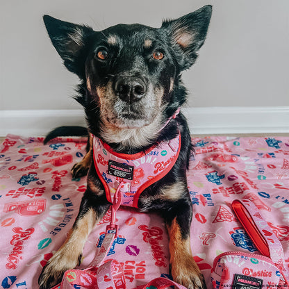 Dog Adjustable Harness - Mean Girls™