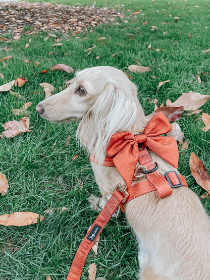 Dog Sailor Bow - Foxy