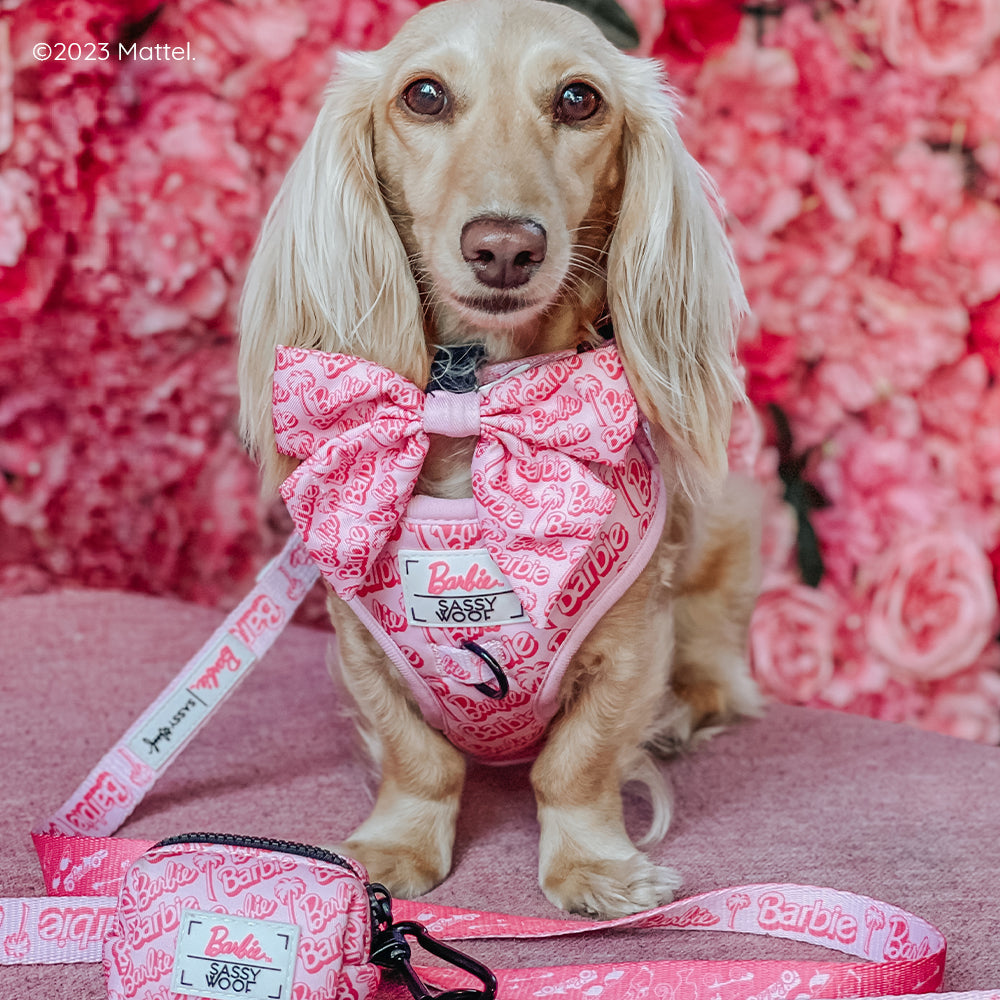 Dog Sailor Bow - BARBIE™ Malibu