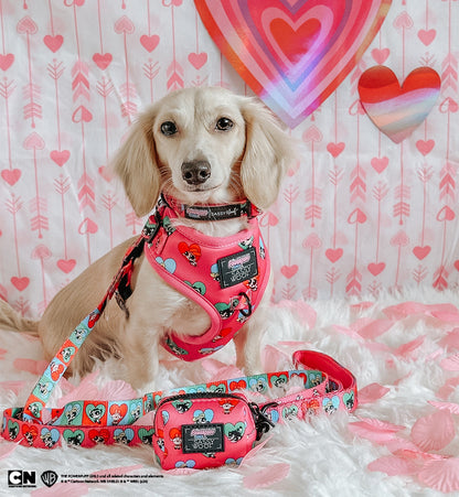 Dog Adjustable Harness - The Powerpuff Girls™ (Love)